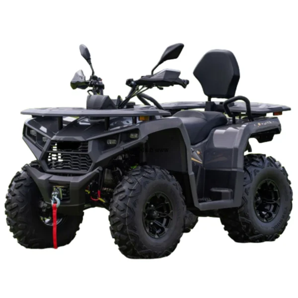 Quad DIABOLINI TERRAX300