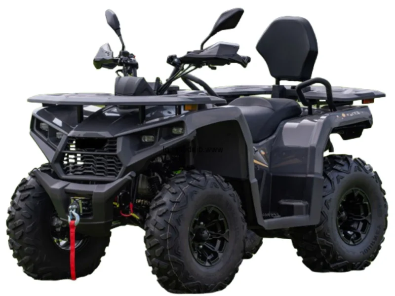 Quad DIABOLINI TERRAX300