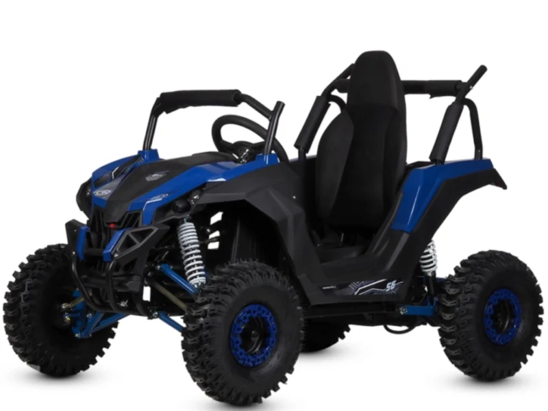 Buggy IML HP 10E