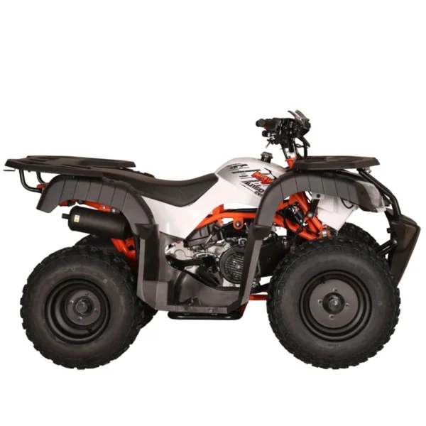 Quad KAYO AU150