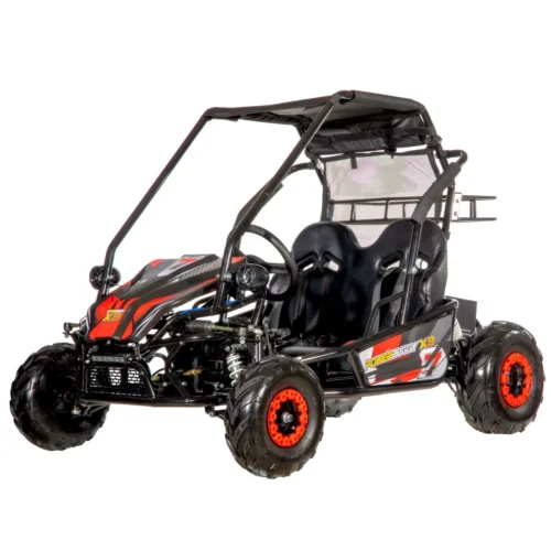 Buggy POWER MOTORS X2