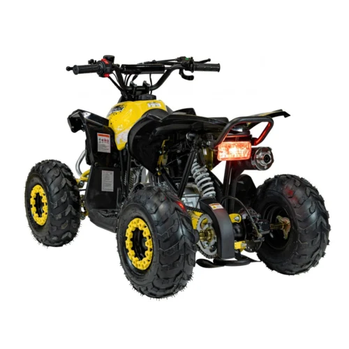 RAMIZ-RENEGADE-HIGHPER-110-ZOLTY-3 Mini Quad RAMIZ RENEGADE HIGHPER 110